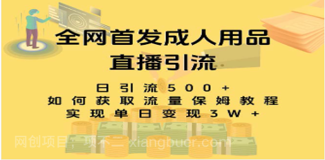 【第8832期】最新全网独创首发,成人用品直播引流获客暴力玩法,单日变现3w保姆级教程