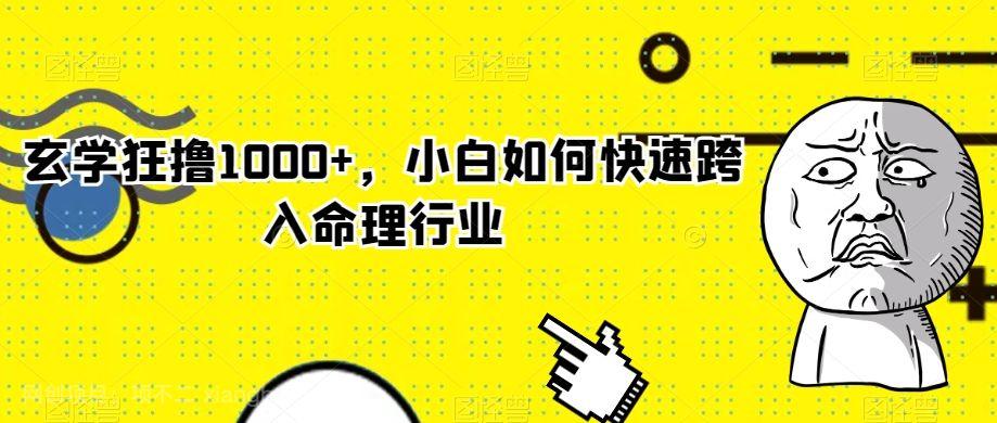 【第9043期】玄学狂撸1000+，小白如何快速跨入命理行业【揭秘】
