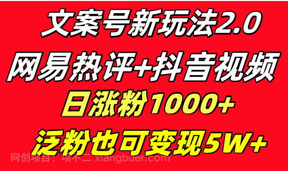 【第9543期】文案号新玩法 网易热评+抖音文案 一天涨粉1000+ 多种变现模式 泛粉也可变现