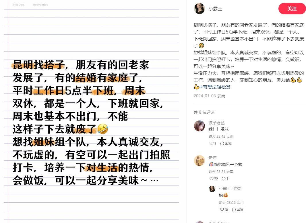 小红书热门搭子副业项目爆火，图文号保姆教程