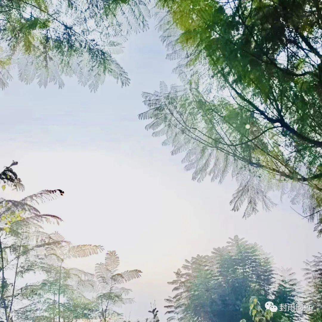 教育的本质是培养习惯