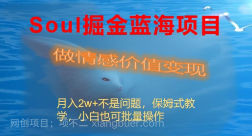【第9640期】Soul掘金蓝海项目细分赛道，做情感价值变现，月入2w+不是问题