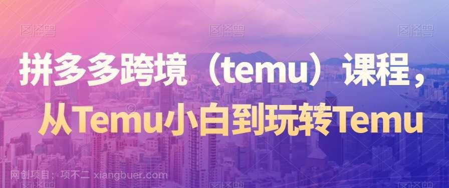【第9867期】拼多多跨境（temu）课程，从Temu小白到玩转Temu
