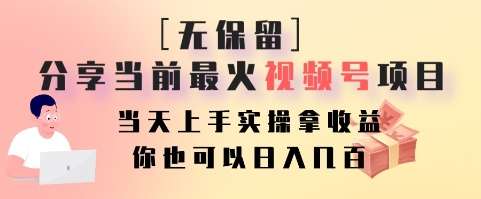 【第10118期】无保留分享当前最火视频号项目,当天上手实操拿收益,你也可以日入几百