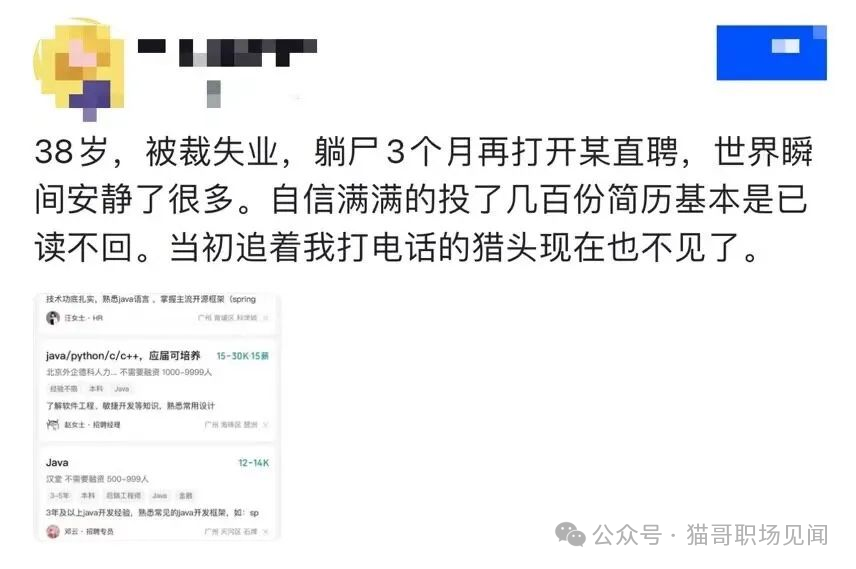 38岁，被裁失业，躺尸3个月再打开某直聘，世界瞬间安静了很多。