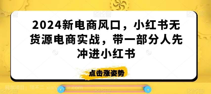 【第10858期】2024新电商风口，小红书无货源电商实战，带一部分人先冲进小红书