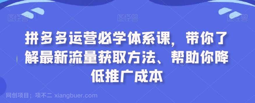【第10860期】拼多多运营必学体系课，带你了解最新流量获取方法、帮助你降低推广成本