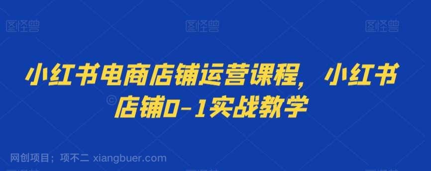 【第10947期】小红书电商店铺运营课程，小红书店铺0-1实战教学