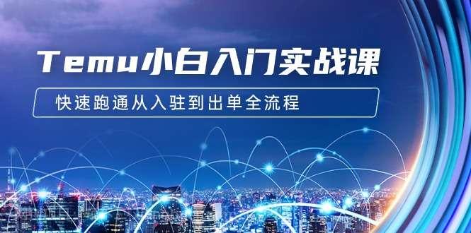 【第11051期】Temu小白入门实战课：跨境拼多多电商培训 快速跑通从入驻到出单全流程-12节