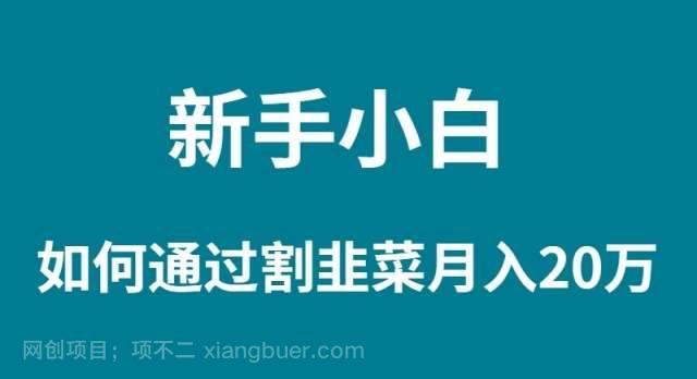 【第11059期】新手小白如何通过割韭菜月入 20W
