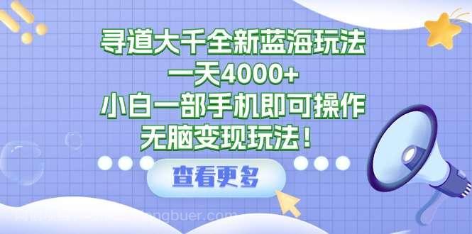 【第11357期】寻道大千全新蓝海玩法,一天4000+,小白一部手机即可操作,无脑变现玩法!