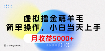 【第11862期】虚拟撸金薅羊毛，简单操作，小白当天上手，月收益5000+