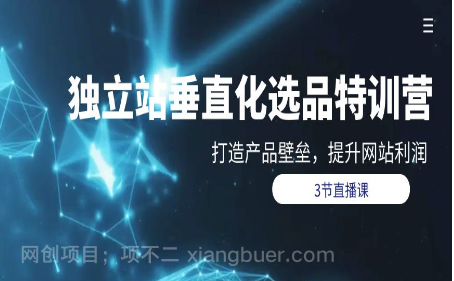 【第11931期】独立站-垂直化选品训练营，打造产品壁垒，提升网站利润（3节直播课）