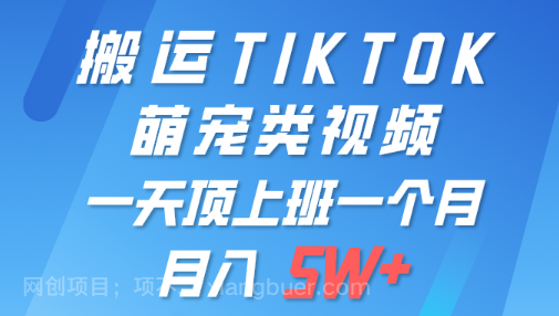 【第11933期】一键搬运TIKTOK萌宠类视频 一部手机即可操作 所有平台均可发布 轻松月入5W+