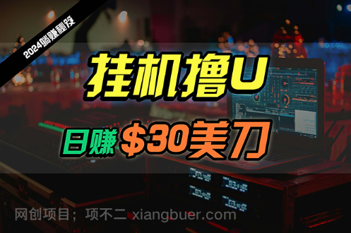 【第12038期】日赚30美刀，2024最新海外挂机撸U内部项目，全程无人值守，可批量放大