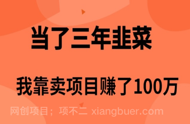 【第11333期】当了3年韭菜,我靠卖项目赚了100万