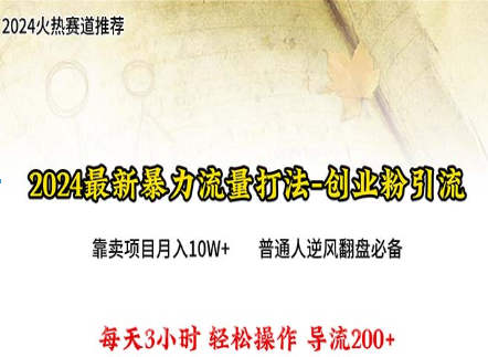 【第11335期】2024年最新暴力流量打法,每日导入300+,靠卖项目月入10W+