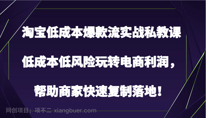 【第11314期】淘宝低成本爆款流实战私教课,低成本低风险玩转电商利润,帮助商家快速复制落地!