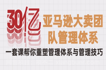 【第11365期】30亿-亚马逊大卖团队管理体系,一套课帮你重塑管理体系与管理技巧