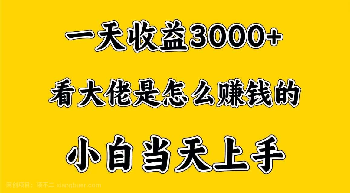 【第11369期】一天赚3000多,大佬是这样赚到钱的,小白当天上手,穷人翻身项目