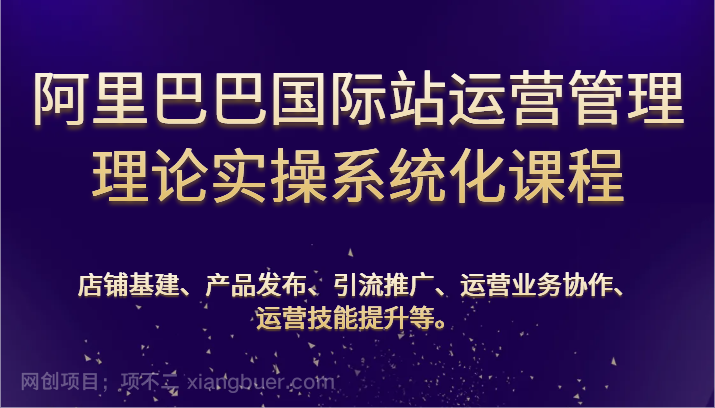  【第11739期】阿里巴巴国际站运营管理理论实操系统化课程：基建、发布、推广、协作、技能提升等
