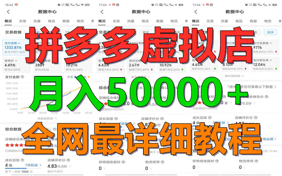 【第12770期】拼多多虚拟电商训练营月入50000+你也行,暴利稳定长久,副业首选