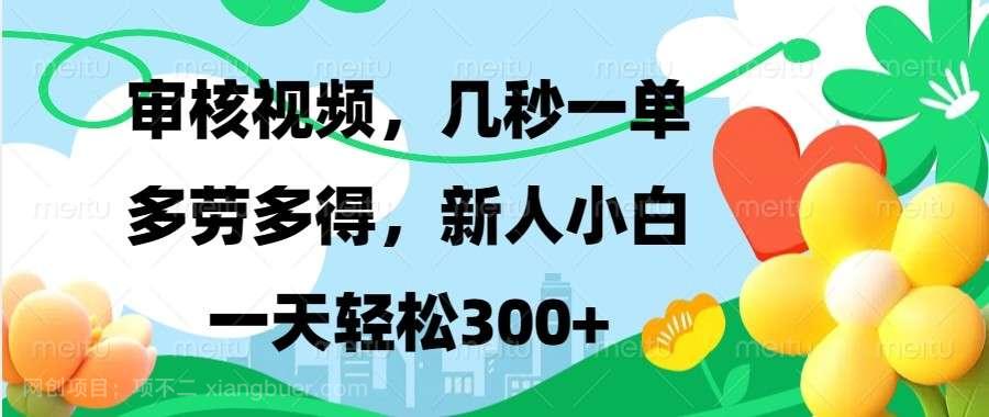  【第15088期】审核视频，几秒一单，多劳多得，新人小白一天轻松300+