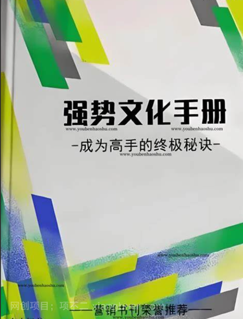 【第17200期】《强势文化手册》洞察强势文化底层逻辑PDF电子书