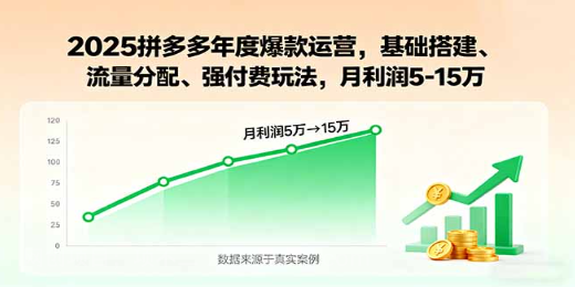 【第17300期】2025拼多多年度爆款运营，基础搭建、流量分配、强付费玩法，月利润5-15万