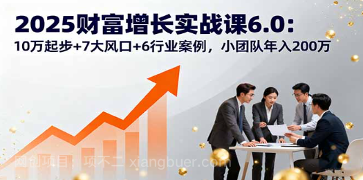 【第17350期】2025财富增长实战课6.0：10万起步+7大风口+6行业案例，小团队年入200万