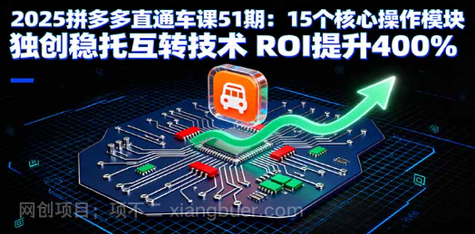 【第17377期】2025拼多多直通车课51期：15个核心操作模块 独创稳托互转技术 ROI提升400%