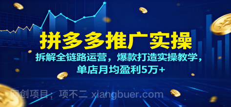 【第17511期】拼多多推广实操，拆解全链路运营，爆款打造实操教学，单店月均盈利5万+
