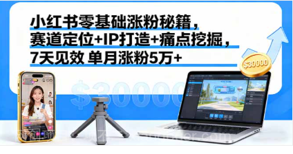 【第17853期】小红书零基础涨粉秘籍，赛道定位+IP打造+痛点挖掘，7天见效 单月涨粉5万+