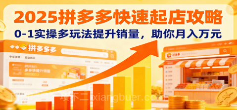【第17919期】2025拼多多快速起店攻略，0-1实操多玩法提升销量，助你月入万元