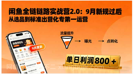 【第17956期】闲鱼变现课3.0：掌握链接优化、流量提升、商业变现，单日利润800+