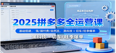 【第18982期】2025拼多多全运营课:基础搭建,强/弱付费/自然流,黑科技 + 切车/旺季爆单