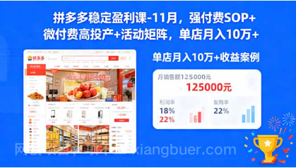 【第19013期】拼多多稳定盈利课-11月,强付费SOP+微付费高投产+活动矩阵,单店月入10万+