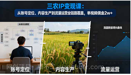 【第19025期】三农IP变现课：从账号定位、内容生产到流量运营全链路覆盖，单视频佣金2w+