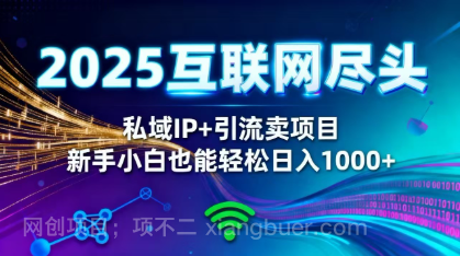 【第19026期】2025网创尽头王炸项目!私域 IP + 精准引流,新手小白在家躺赚日入 1000+