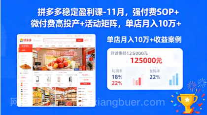 【第19101期】拼多多稳定盈利课-11月，强付费SOP+微付费高投产+活动矩阵，单店月入10w+