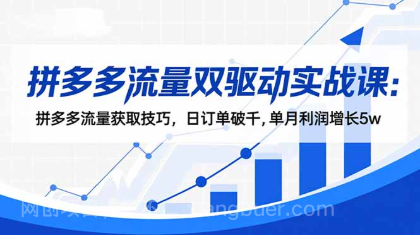 【第19105期】拼多多流量双驱动实战课：拼多多流量获取技巧，日订单破千,单月利润增长5w