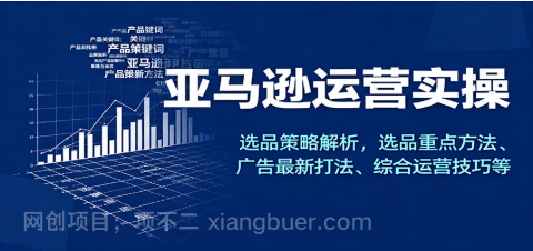 【第19115期】亚马逊运营实操，选品策略解析，选品重点方法、广告最新打法、综合运营技巧等