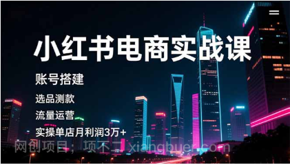 【第19191期】小红书电商实战课，账号搭建，选品测款，流量运营，实操月利润3万+