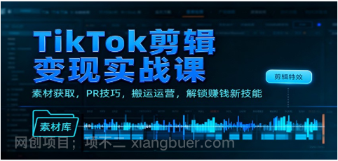【第19196期】 TikTok剪辑变现实战课：素材获取，PR技巧，搬运运营，解锁赚钱新技能