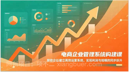 【第19229期】电商企业管理系统构建课：帮助企业建立高效运营系统，实现利润与规模的同步跃升