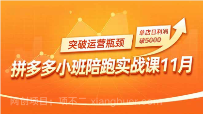 【第19247期】拼多多小班陪跑实战课11月，强付费矩阵、原价活动、暗券引流，突破运营瓶颈，单店日利润破5000