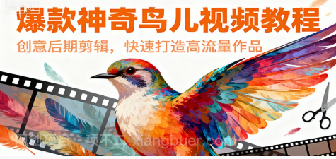 【第19284期】爆款神奇鸟儿视频教程，创意后期剪辑，快速打造高流量作品