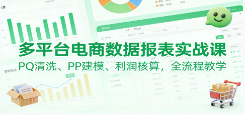 【第19363期】多平台电商数据报表实战课：PQ清洗、PP建模、 利润核算，全流程教学