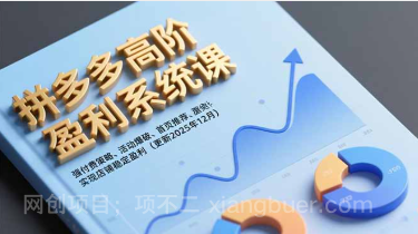 【第19461期】拼多多高阶盈利系统课,强付费策略、活动爆破、首页推荐,实现店铺稳定盈利(更新12月)