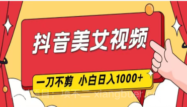 【第19496期】抖音美女视频,一刀不剪,两分钟一条视频,小白轻松上手,日入1000